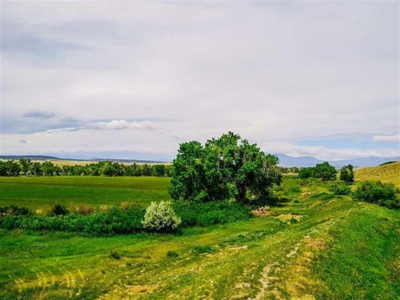 The Huerfano Assemblage, Walsenburg : Walsenburg : Huerfano County : Colorado