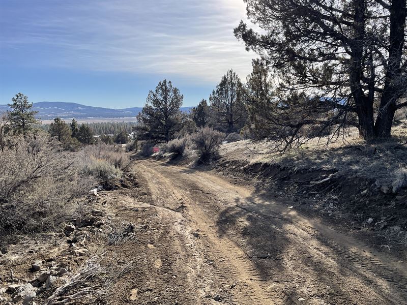 Private, Secure, & Away From It All : Sprague River : Klamath County : Oregon
