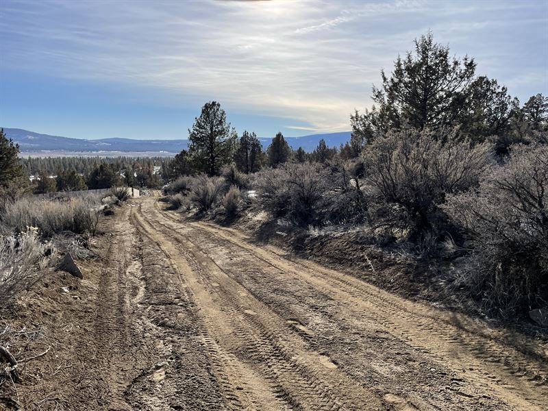 World-Class Trout Fishing Awaits : Sprague River : Klamath County : Oregon