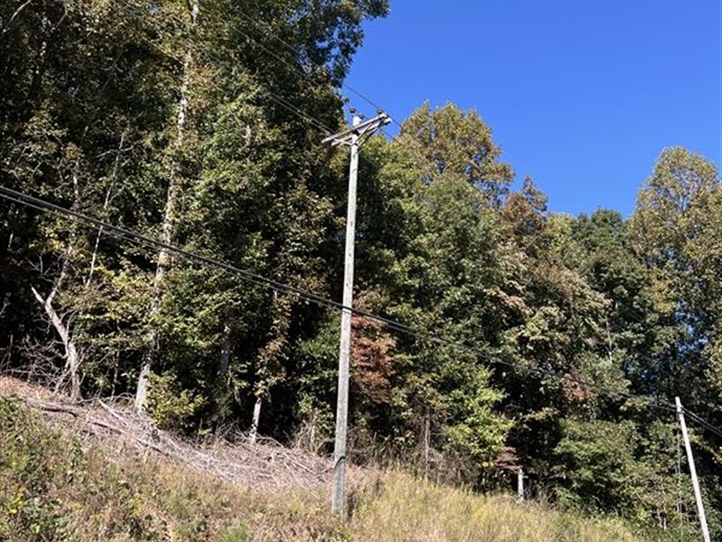Wooded Acreage with Creek : Talking Rock : Pickens County : Georgia