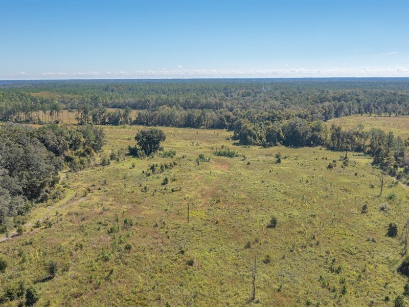94.6 Ac, Prime Opportunity : Hawthorne : Alachua County : Florida