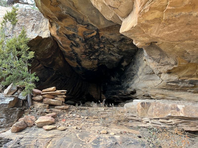 Elk Canyon Ranch : Las Vegas : San Miguel County : New Mexico