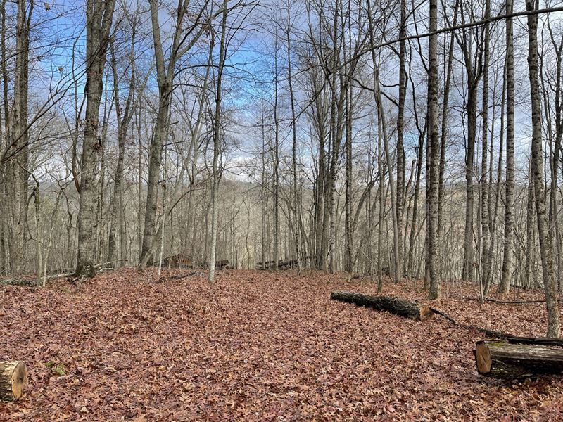 Blue Ridge GA 5 Acres : Blue Ridge : Fannin County : Georgia