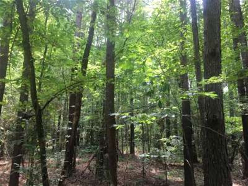 Bahala, Copiah County : Wesson : Copiah County : Mississippi