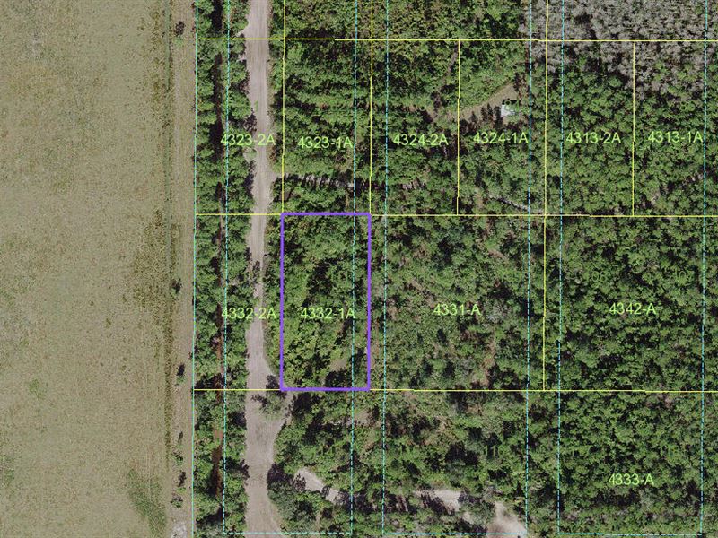 1.25 Acres in Osceola County, FL : Saint Cloud : Osceola County : Florida
