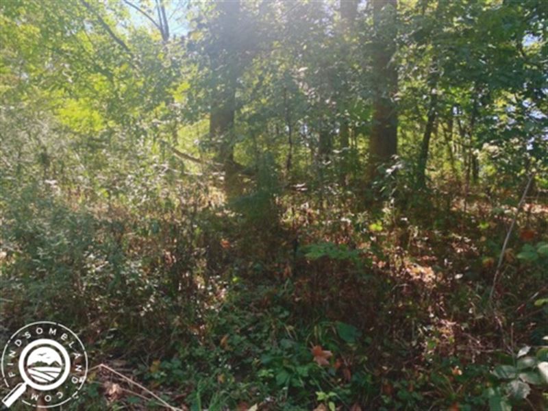 Wooded Recreational Property : New Carlisle : LaPorte County : Indiana