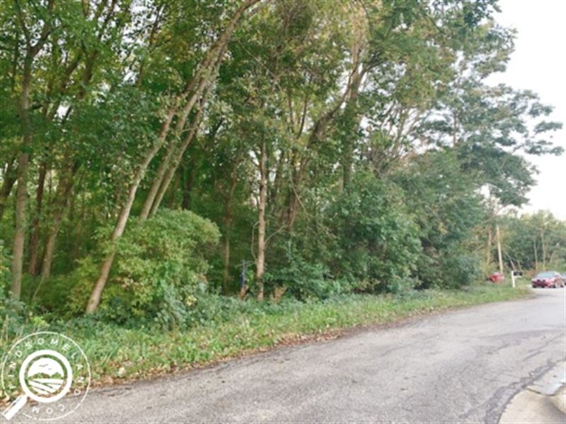 .28 Acre Close to Lake Michigan : Hobart : Lake County : Indiana