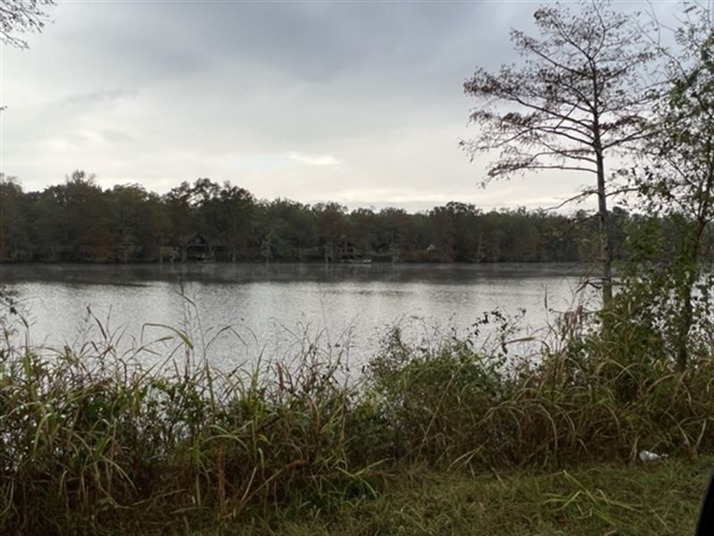 La, Caldwell 17 Acres : Columbia : Caldwell Parish : Louisiana