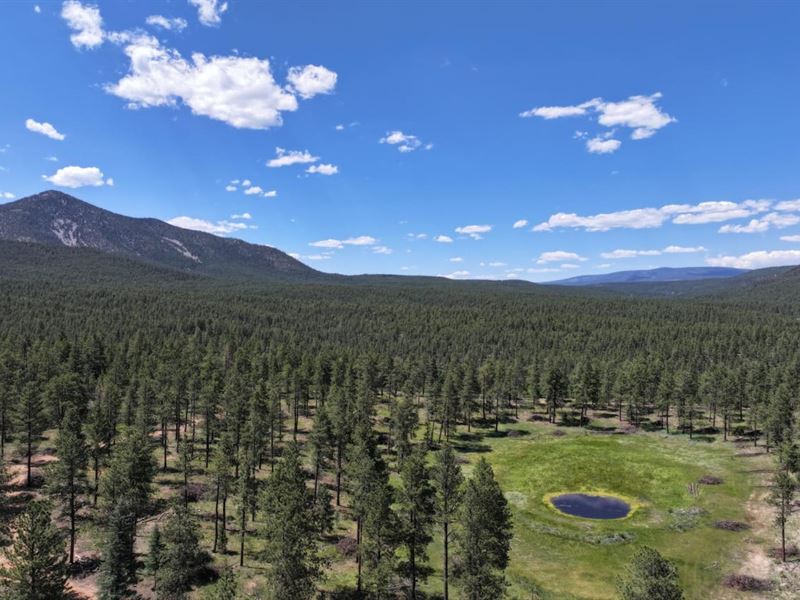 Angel Haven Ranch : Guadalupita : Mora County : New Mexico
