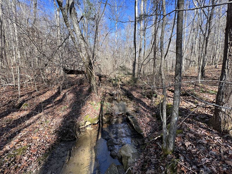 Wooded Acreage in Talking Rock, GA : Talking Rock : Pickens County : Georgia