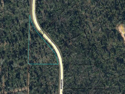Beautiful Homesite by Compass Lake : Alford : Jackson County : Florida
