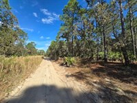 Seller Financing, Only $219 Month : Crystal River : Citrus County : Florida