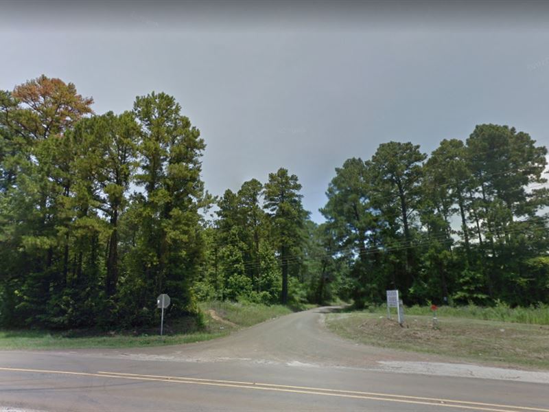 1.54 Ac Near Sam Rayburn Lake : Bronson : San Augustine County : Texas
