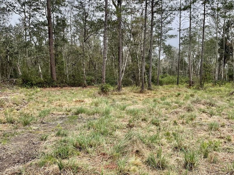 Fish River Tract Baldwin Co : Summerdale : Baldwin County : Alabama