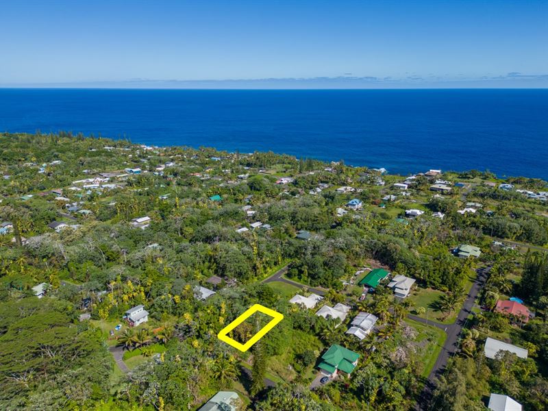 .21 Acre Wooded Lot for Sale : Pahoa : Hawaii County : Hawaii