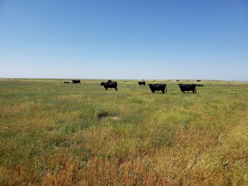 Fabrizius Ranch : Weldona : Morgan County : Colorado