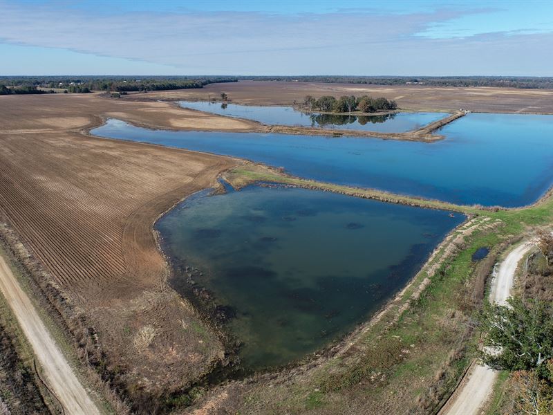 1294 Acre Irrigated Farm : Clarksville : Red River County : Texas
