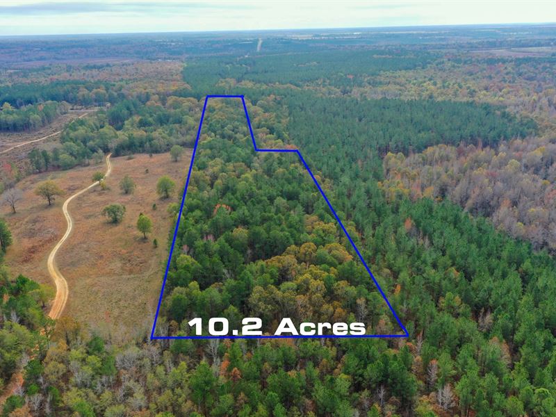 Amazing Lot for Your Dream Home : Keysville : Burke County : Georgia
