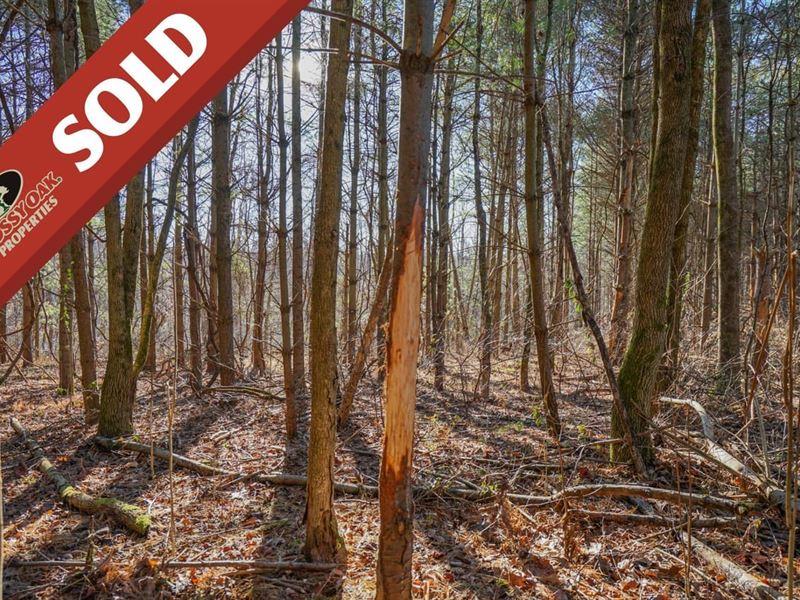 Keithtown Rd, 91 Acres, Noble Cou : Caldwell : Noble County : Ohio