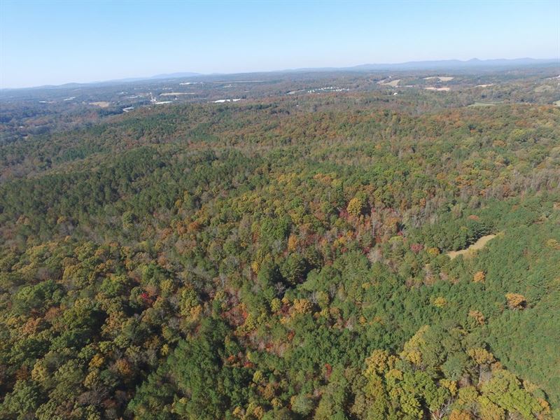 Flatbottom Road, 150.2 Acres : Ball Ground : Cherokee County : Georgia