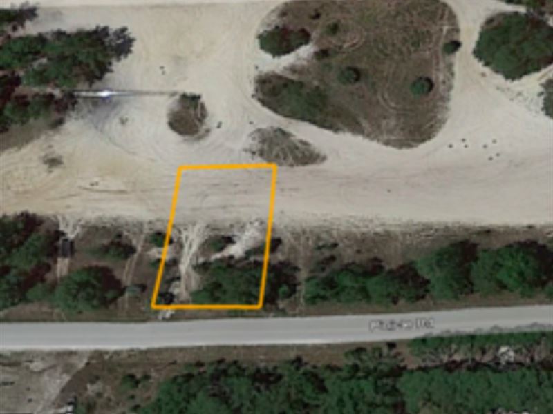 .25 Acre on Pinicle Rd : Satsuma : Putnam County : Florida
