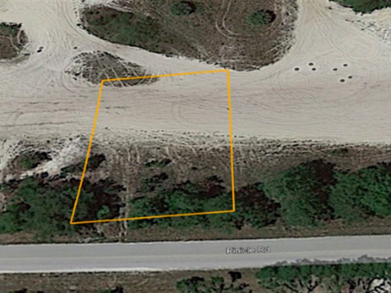 .25 Acre on Pinicle Rd : Satsuma : Putnam County : Florida