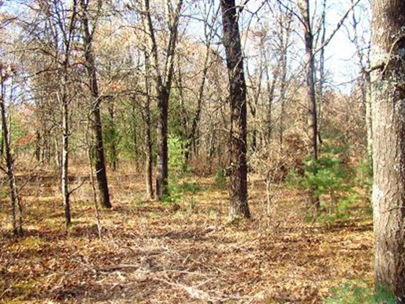 8 Acres Near Castle Rock Lake : Necedah : Juneau County : Wisconsin