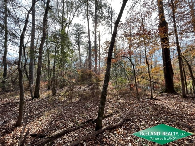 80 Ac, Bottomland Hunting Tract NE : El Dorado : Union County : Arkansas