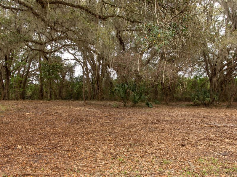 Residential Lot in Suwannee County : Live Oak : Suwannee County : Florida