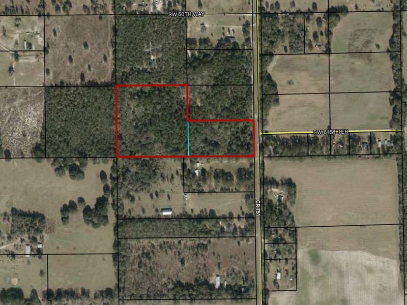 Naturally Wooded Parcel : Jasper : Hamilton County : Florida