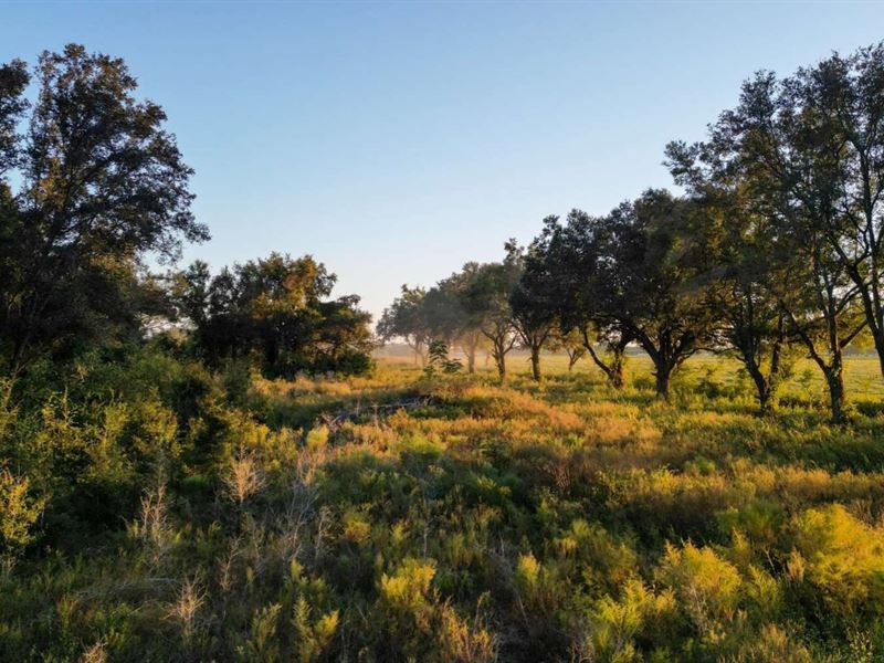 Partially Cleared 10 Acre Tract : Branford : Lafayette County : Florida