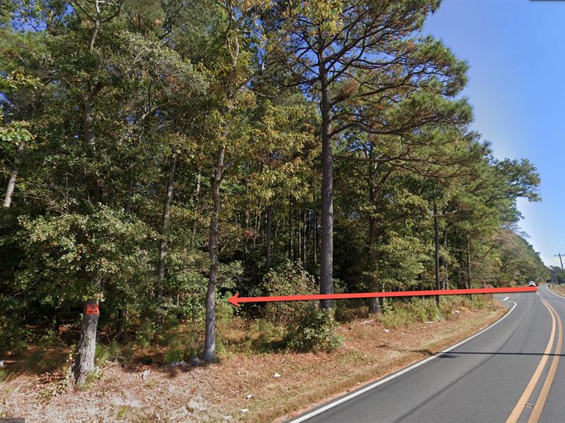 Nature Abounds, Buildable Lot : Georgetown : Sussex County : Delaware