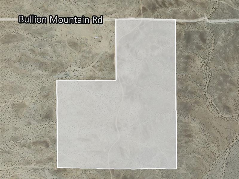 40 Ac Selling Below Market Value : Twentynine Palms : San Bernardino County : California