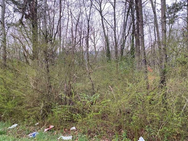 1.26 Acres Located in The Heart : Whitwell : Marion County : Tennessee