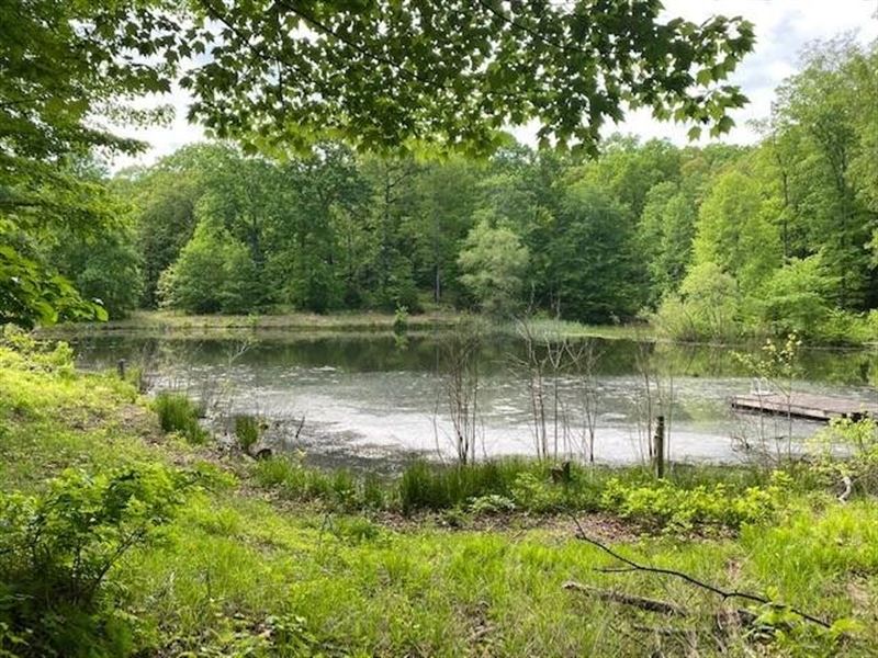 29.46 Acres Unrestricted Borderin : Sewanee : Marion County : Tennessee