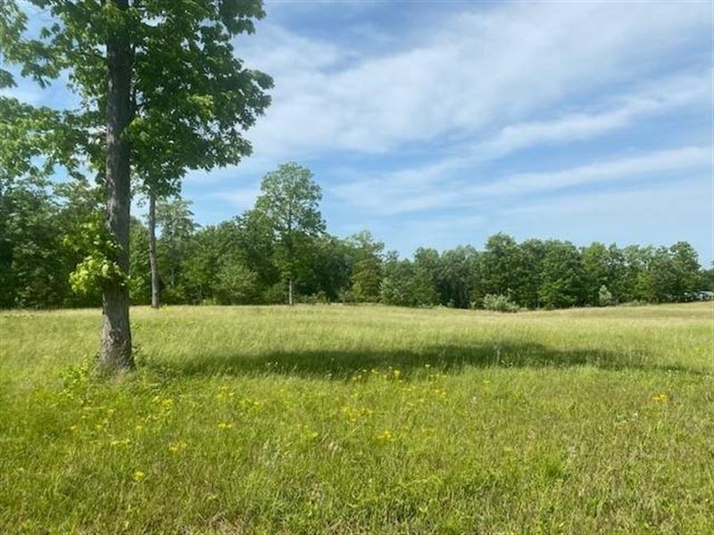 110.08 Acres Beautiful Hardwoods : Whitwell : Marion County : Tennessee