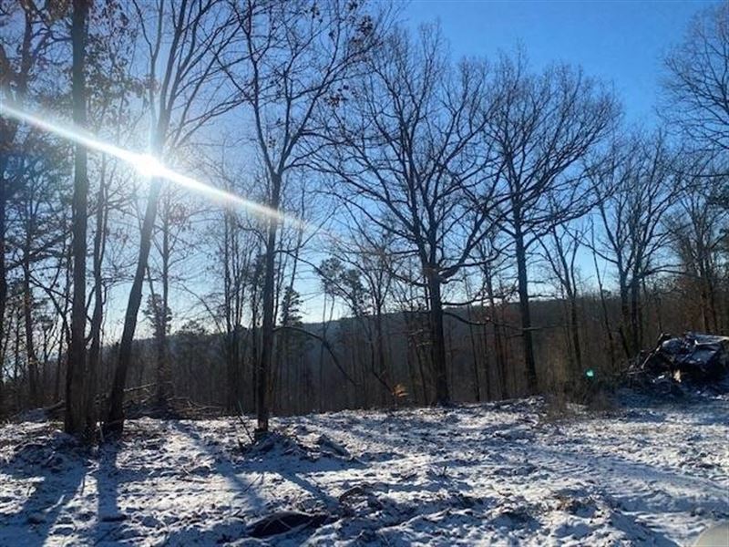 5.45 Acres Unrestricted Near Down : South Pittsburg : Marion County : Tennessee