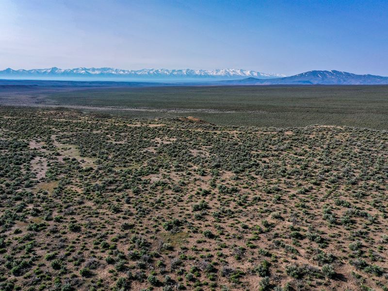 40 Acre Property in Elko County, NV : Elko : Elko County : Nevada