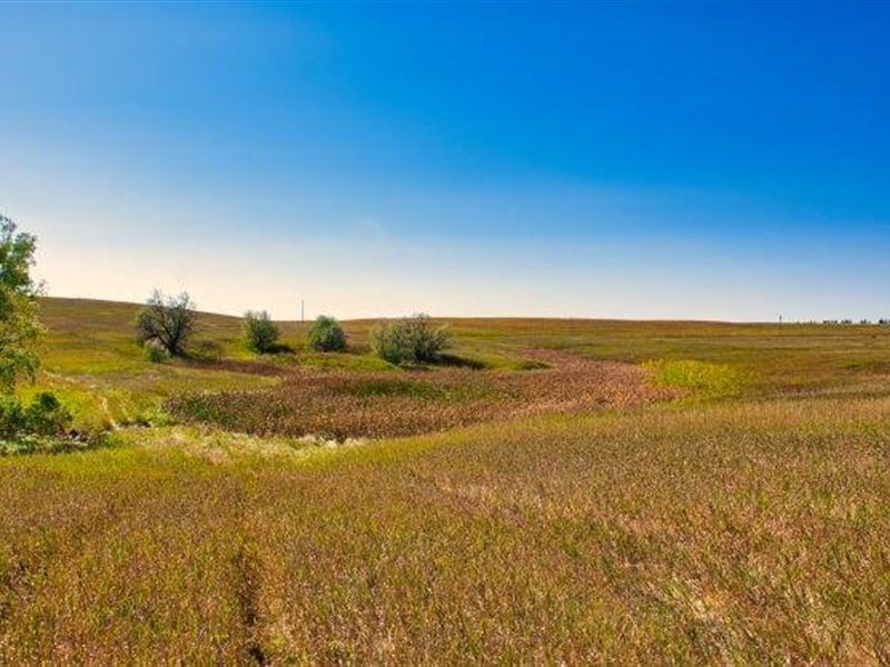 Hettinger Hunting Haven : Hettinger : Adams County : North Dakota