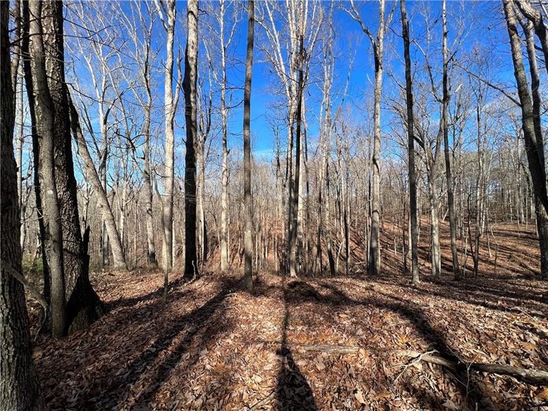 Wooded Acreage with Creek : Talking Rock : Pickens County : Georgia
