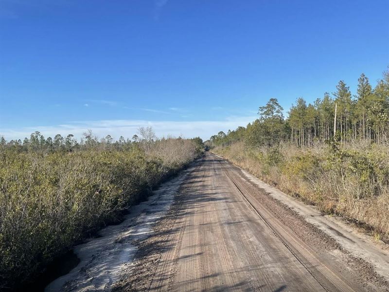 12.5 Acres for Sale in Manor, GA, Land for Sale by Owner in