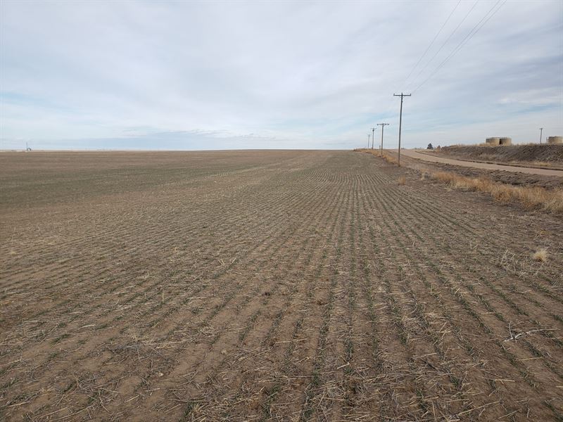 Roderick Farm : Akron : Washington County : Colorado