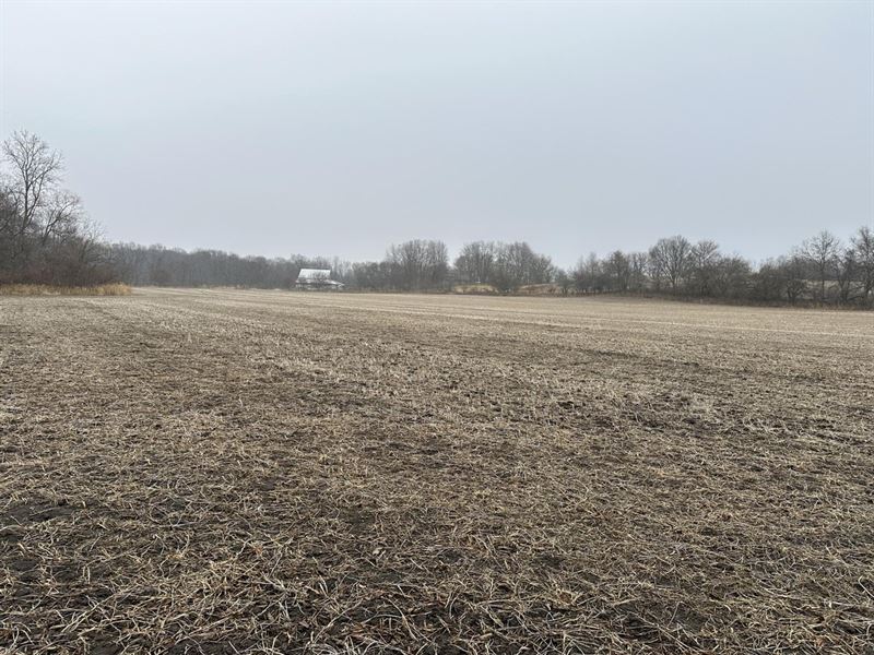 Land for Sale, 28.284 Acres, Tilla : Muncie : Henry County : Indiana