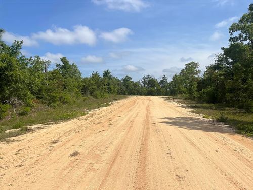 Seller Financing, $189 Monthly : Marianna : Jackson County : Florida