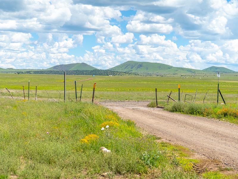 RV Paradise in AZ : Concho : Apache County : Arizona