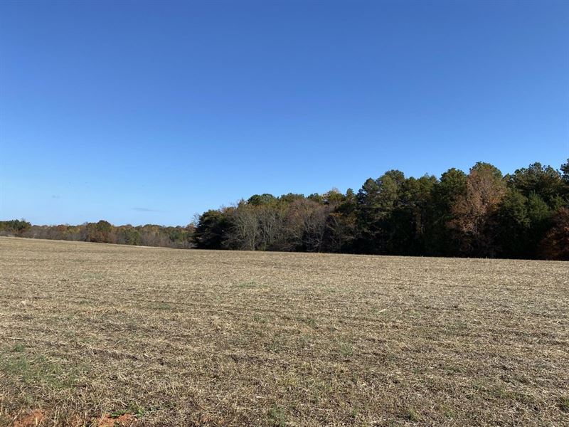 3.87 Acres Off Umberger Road, Cl : Cleveland : Rowan County : North Carolina