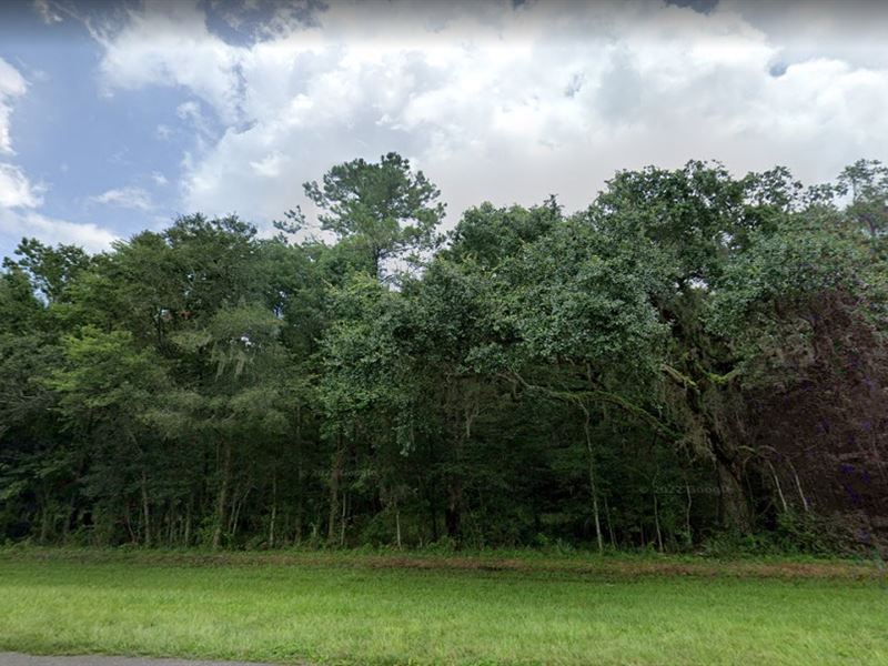 Mobile Home Friendly : Brooksville : Hernando County : Florida