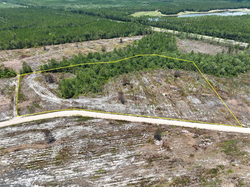 10 Acre Country Homesite : Nahunta : Brantley County : Georgia