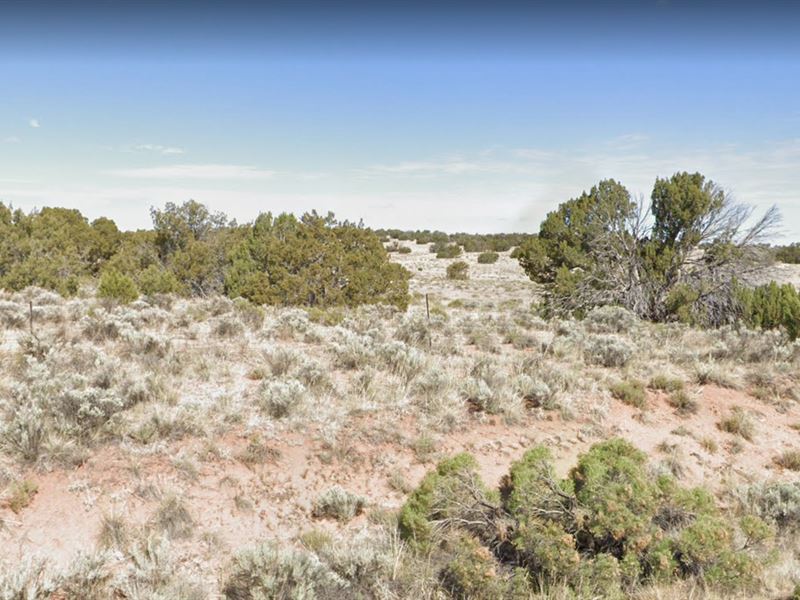 Great AZ Land is Ready and Waiting : Sanders : Apache County : Arizona