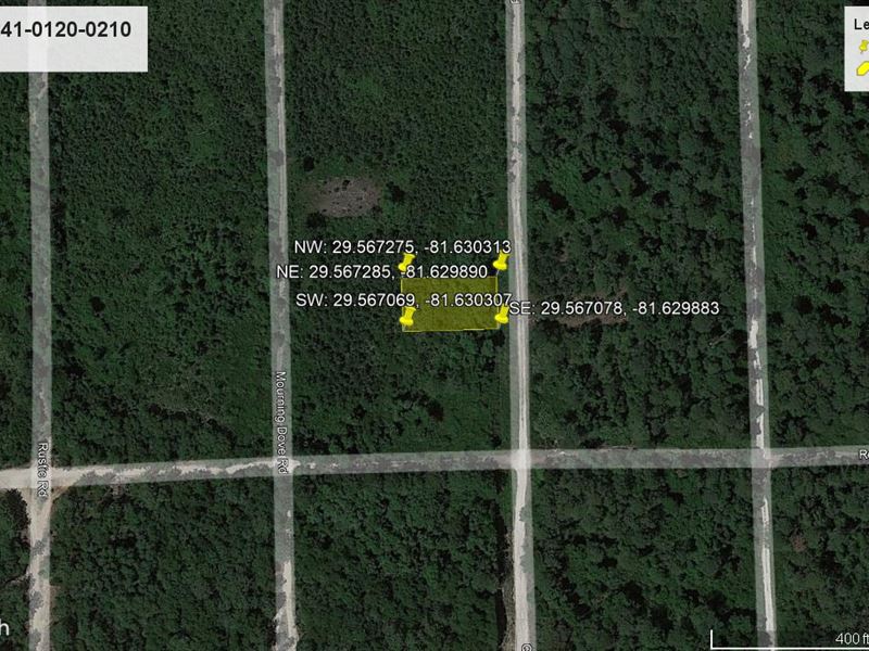 Explore Ocala National Forest : Satsuma : Putnam County : Florida